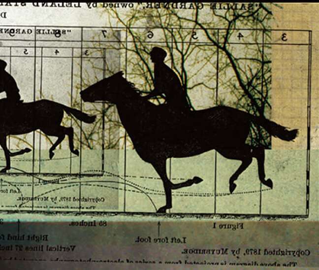 Role ＿ Promotional Design｜Visual Creativity