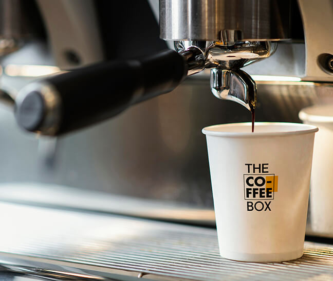 Role ＿ Brand Design｜Art Direction